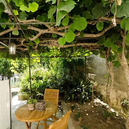 Grandma Summer House Guest house Dubrovnik
