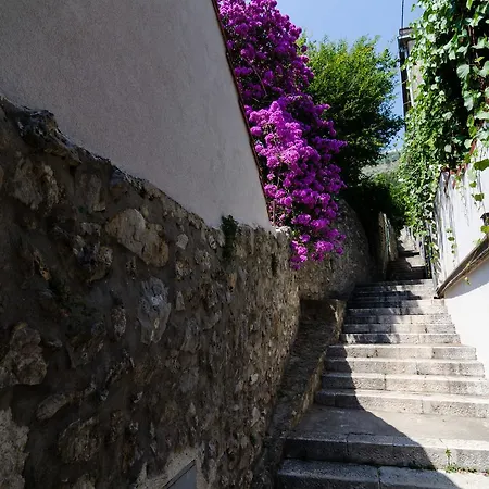 Guest house Grandma Summer House 3*