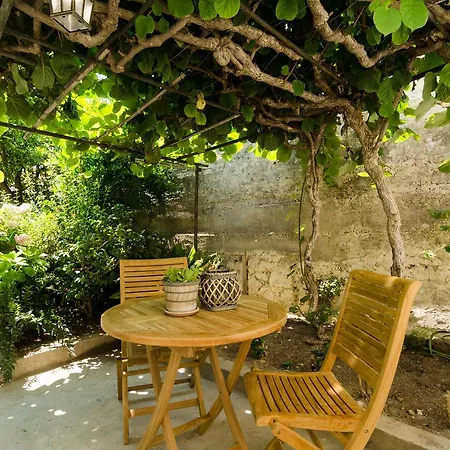 Guest house Grandma Summer House